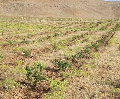 WhatsApp Image 2020-12-18 at 3.10.52 PM WhatsApp Image 2020-12-18 at 3.10.52 PM