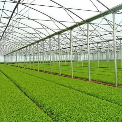 WhatsApp Image 2020-12-18 at 3.12.23 PM WhatsApp Image 2020-12-18 at 3.12.23 PM